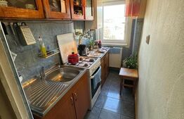 Garsoniera 30 mp, zona Independetei, bloc reabilitat 