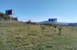 Teren intravilan, Zona industrială 123 Ari 