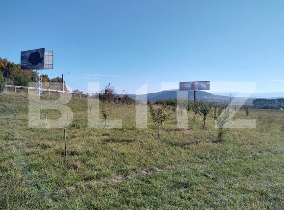Teren de vânzare Viișoara - 158169TV | BLITZ Bistriţa | Poza2