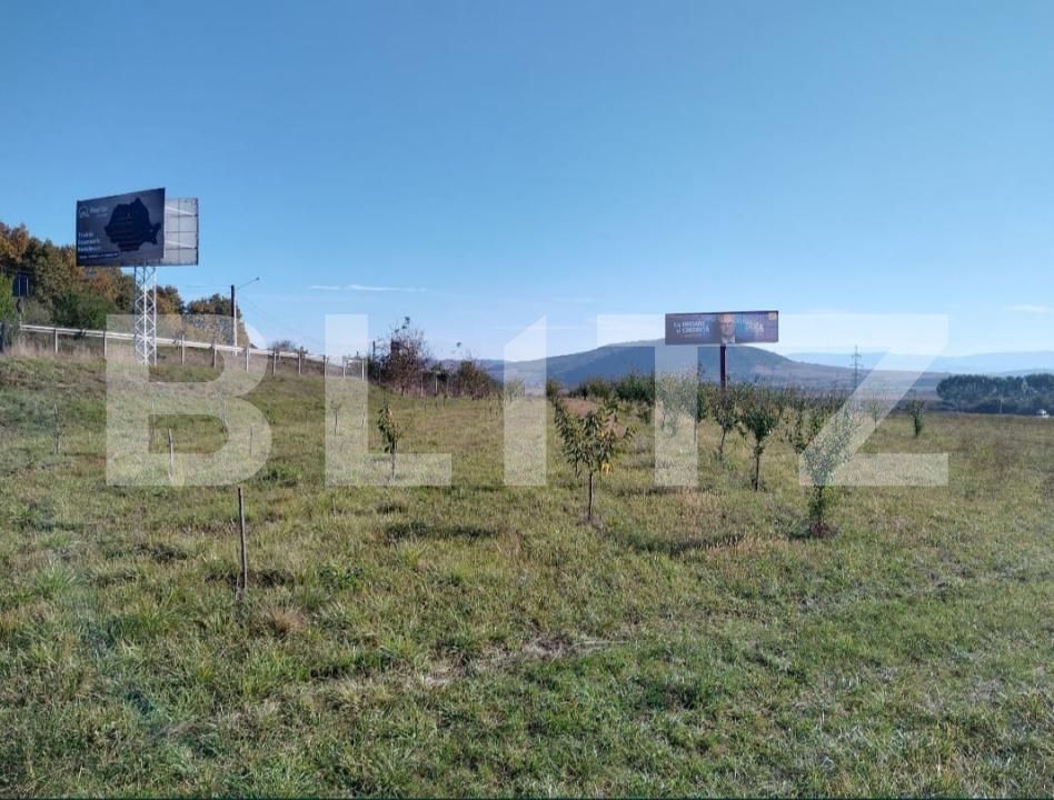 Teren de vânzare Viișoara - 158169TV | BLITZ Bistriţa | Poza2