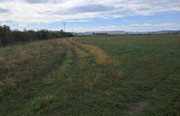 Teren de vânzare – Jelna, zonă în dezvoltare, ideal pentru investiție |2 parcele