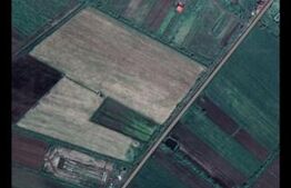 Teren de vânzare – Jelna, zonă în dezvoltare, ideal pentru investiție |2 parcele