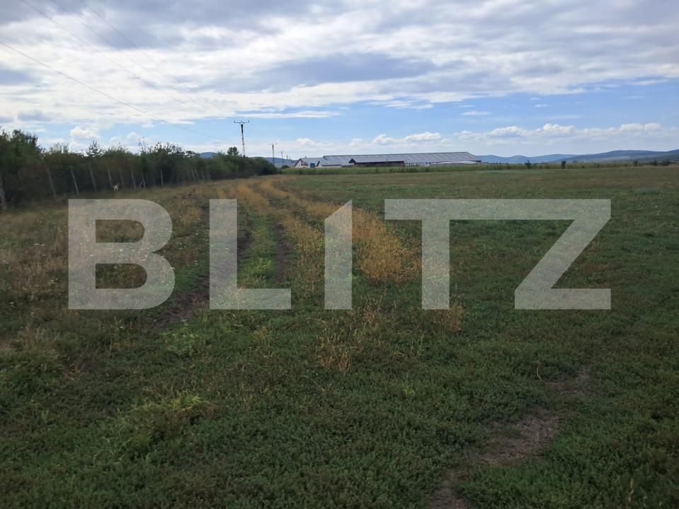 Teren de vânzare Est - 158170TV | BLITZ Bistriţa | Poza2