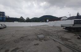 De inchiriat spatiu comercial/hala 1000 mp,curte privata,oras Nasaud
