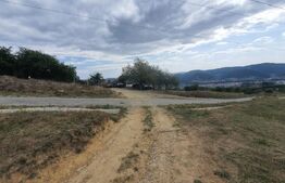 Teren 10 hectare cu casa batraneasca, Nasaud 