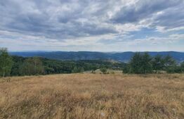 Teren 10 hectare cu casa batraneasca, Nasaud 