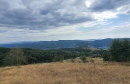 Teren 10 hectare cu casa batraneasca, Nasaud 