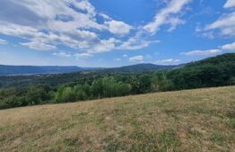 Teren 10 hectare cu casa batraneasca, Nasaud 