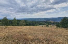 Teren 10 hectare cu casa batraneasca, Nasaud 