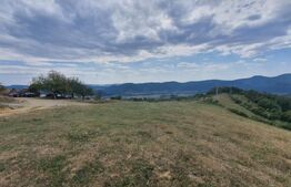 Teren 10 hectare cu casa batraneasca, Nasaud 