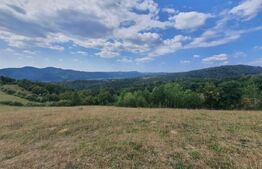 Teren 10 hectare cu casa batraneasca, Nasaud 