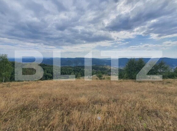 Teren de vânzare Nasaud - 158282TV | BLITZ Bistriţa | Poza7