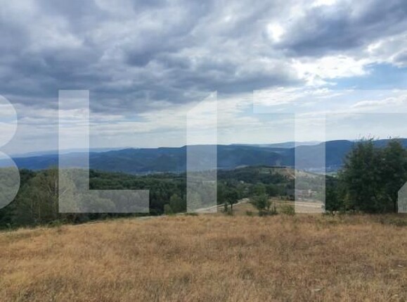 Teren de vânzare Nasaud - 158282TV | BLITZ Bistriţa | Poza8