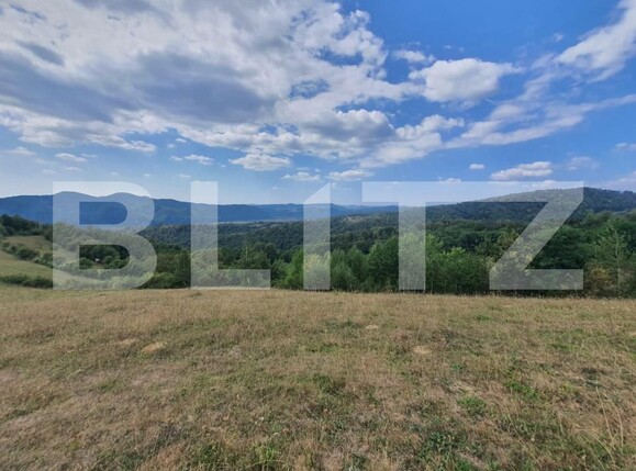 Teren de vânzare Nasaud - 158282TV | BLITZ Bistriţa | Poza3