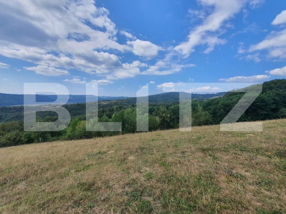 Teren de vânzare Nasaud - 158282TV | BLITZ Bistriţa | Poza2