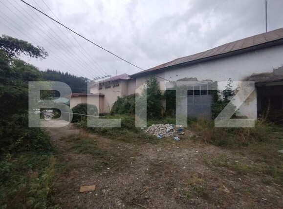 Spațiu industrial de închiriat Nasaud - 158313SII | BLITZ Bistriţa | Poza3
