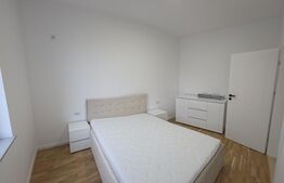 Apartament de 3 camere, ultracentral, Bulevardul Republicii