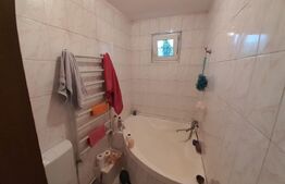 Hale pentru industrie grea ( confectii metalice)