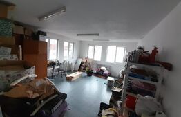 Hale pentru industrie grea ( confectii metalice)