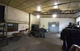 Hale pentru industrie grea ( confectii metalice)