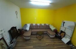 Hale pentru industrie grea ( confectii metalice)