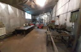 Hale pentru industrie grea ( confectii metalice)