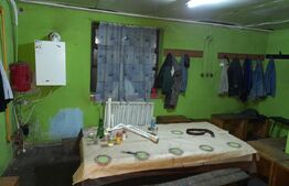 Hale pentru industrie grea ( confectii metalice)