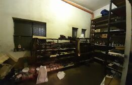 Hale pentru industrie grea ( confectii metalice)