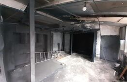 Hale pentru industrie grea ( confectii metalice)