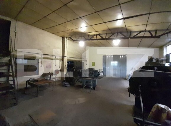 Spațiu industrial de vânzare Viișoara - 158501SVI | BLITZ Bistriţa | Poza12