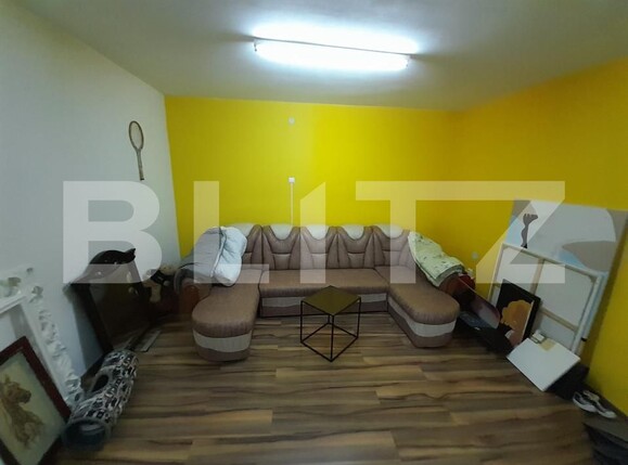 Spațiu industrial de vânzare Viișoara - 158501SVI | BLITZ Bistriţa | Poza13