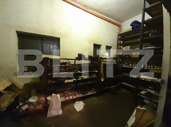 Spațiu industrial de vânzare Viișoara - 158501SVI | BLITZ Bistriţa | Poza22