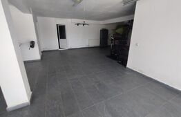 Casa/Pensiune,310mp,zona Jelnei,2800 mp teren,Lac de pesti,ideala pt investitie