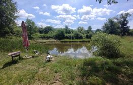 Casa/Pensiune,310mp,zona Jelnei,2800 mp teren,Lac de pesti,ideala pt investitie