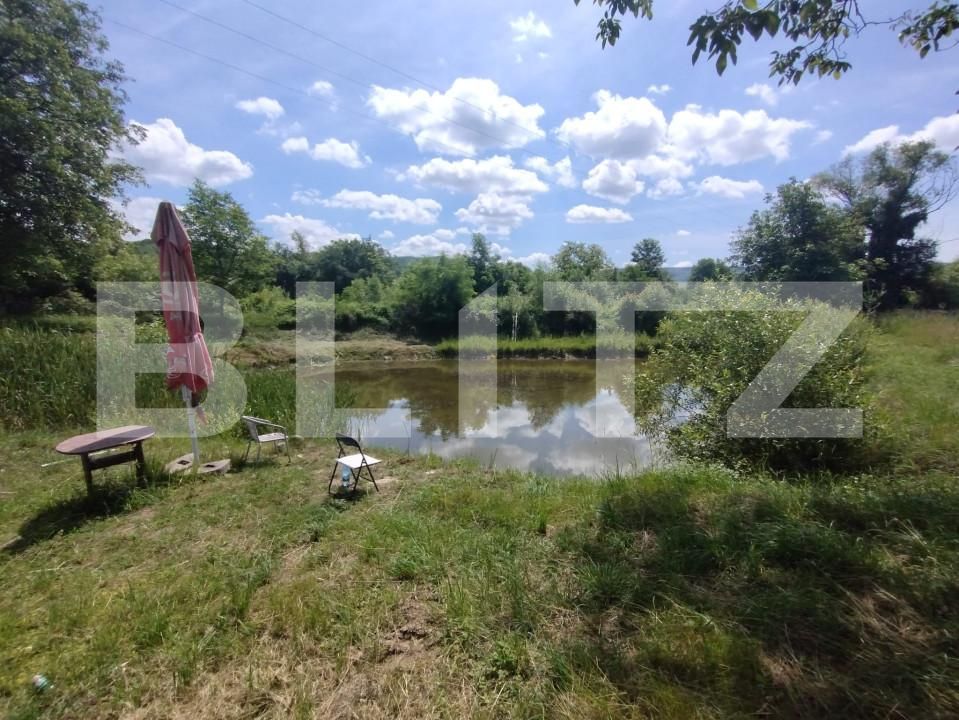 Casa de vânzare 4 camere Satu Nou - 158666CV | BLITZ Bistriţa | Poza19