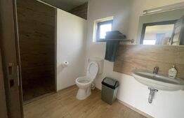 Pensiune de Vânzare - afacere la cheie Bistrita