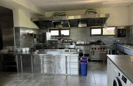 Pensiune de Vânzare - afacere la cheie Bistrita