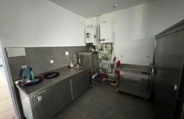 Pensiune de Vânzare - afacere la cheie Bistrita