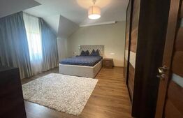 Pensiune de Vânzare - afacere la cheie Bistrita