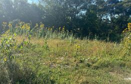 Teren intravilan, 1200mp, Valea ghinzii