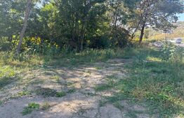 Teren intravilan, 1200mp, Valea ghinzii