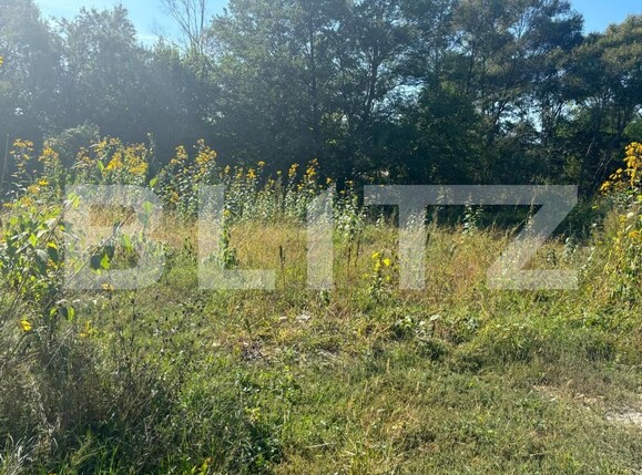 Teren de vânzare Nord-Vest - 158878TV | BLITZ Bistriţa | Poza3