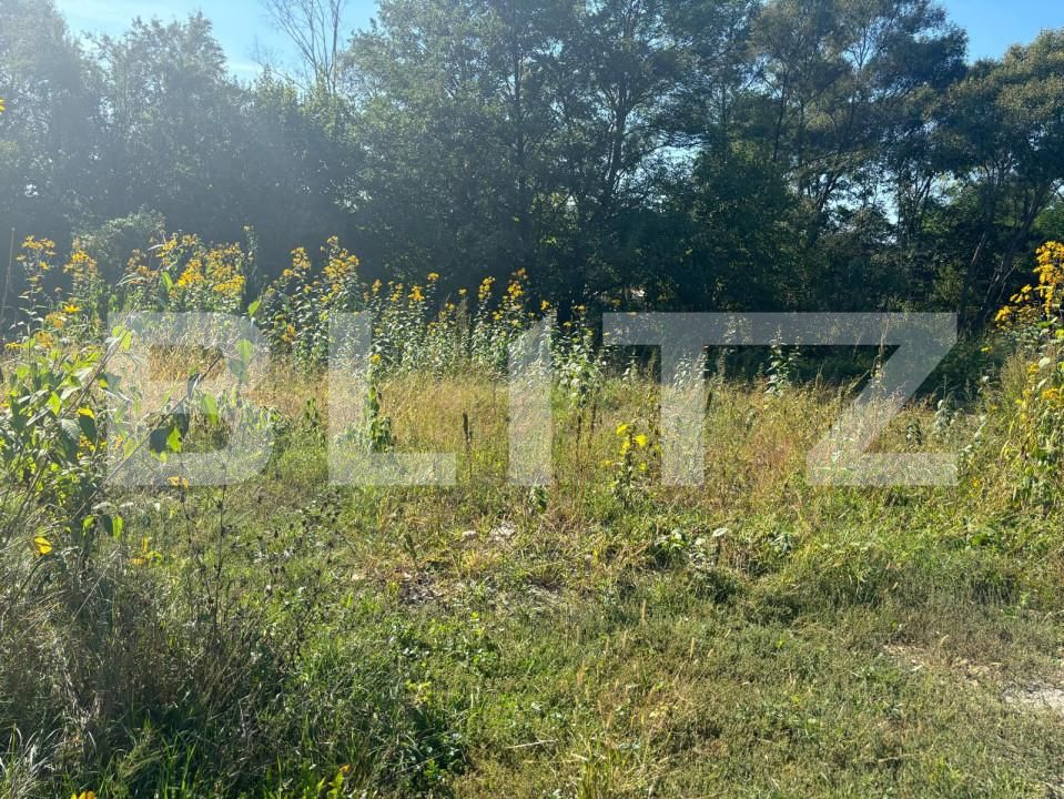 Teren de vânzare Nord-Vest - 158878TV | BLITZ Bistriţa | Poza3