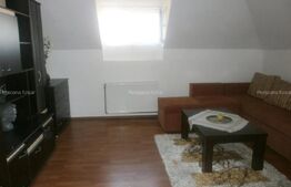 Casa individuala 220mp utili ,110mp beci, 2000mp teren zona Petrom Viisoara