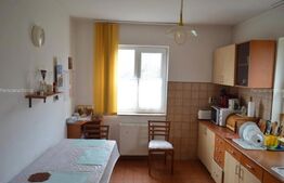 Casa individuala 220mp utili ,110mp beci, 2000mp teren zona Petrom Viisoara