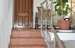 Casa individuala 220mp utili ,110mp beci, 2000mp teren zona Petrom Viisoara