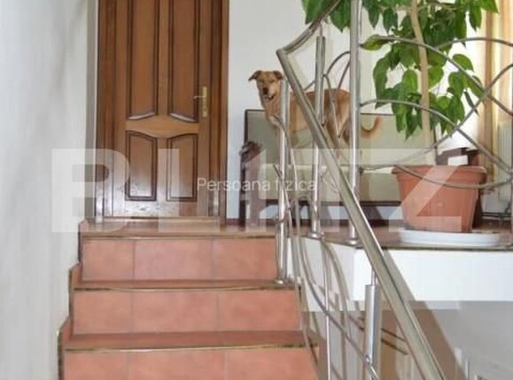 Casa de vânzare 4 camere Viișoara - 158945CV | BLITZ Bistriţa | Poza8