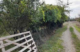 Teren Intravilan,750 mp, zona ROMBAT