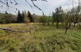 Teren Intravilan,750 mp, zona ROMBAT