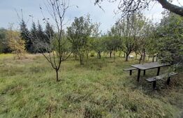 Teren Intravilan,750 mp, zona ROMBAT